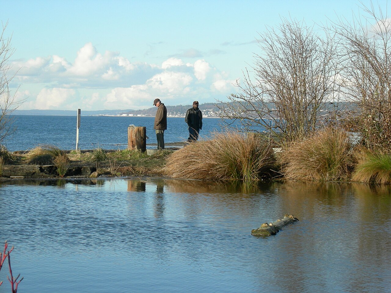 A marsh lake beside Shilshole Bay at Golden Gardens Park in Ballard in 2007 (file photo).